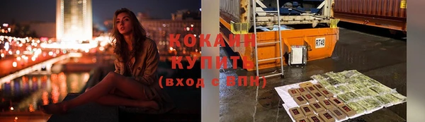 твердый Верхний Тагил