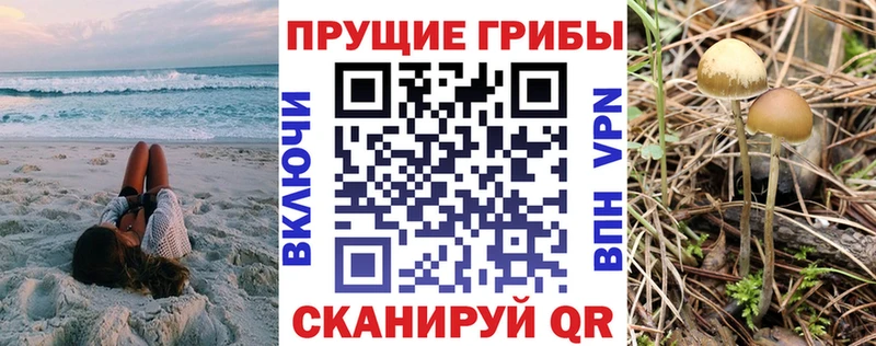 Галлюциногенные грибы Cubensis  гидра зеркало  Кинель 